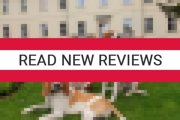 www.nakomiady.pl - check out latest independent reviews