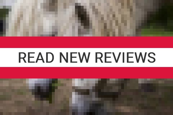 www.sagalasowka.pl - check out latest independent reviews